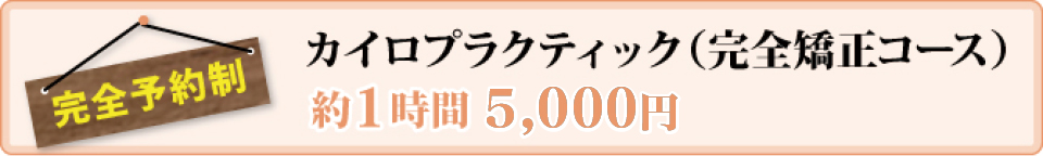S\񐧁@JCvNeBbNiSR[Xj1 5000~